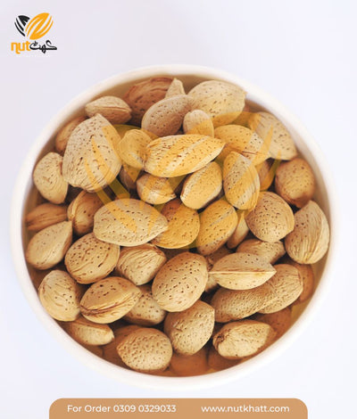 shell-almond-1