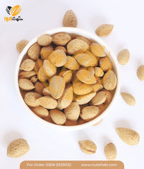 shell-almond-3